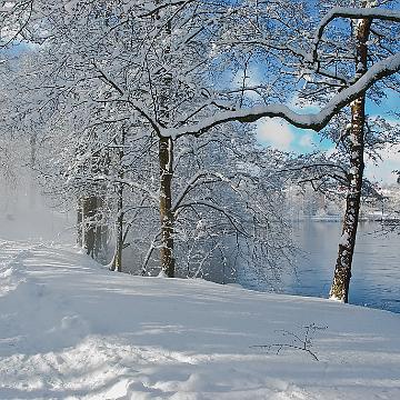 Vinter Vinter i Åbackarna