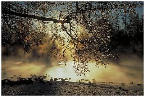 Vinter i Åbackarna