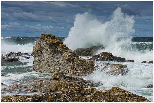 Fårö Gotland