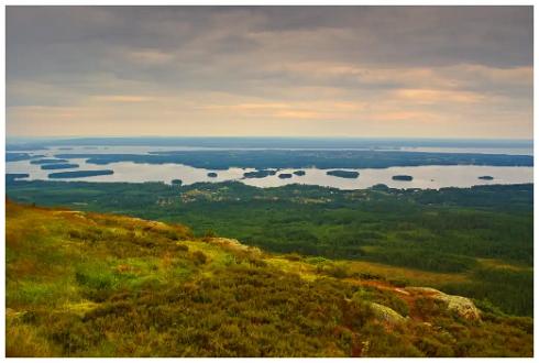 Gesundaberget i Dalarna