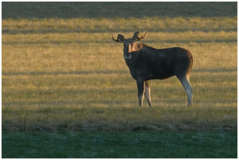 Kommunrally 2025 kommunrally 2025