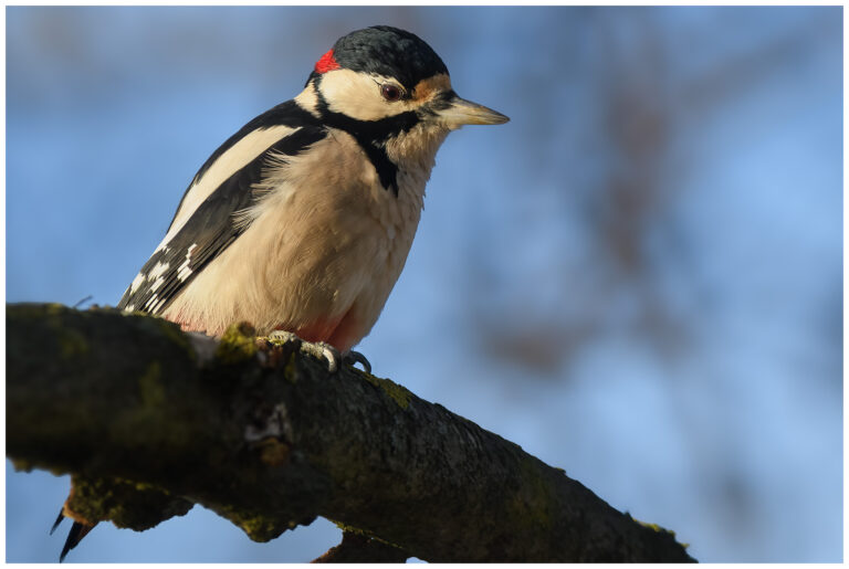 Kommunrally 2025 kommunrally 2025