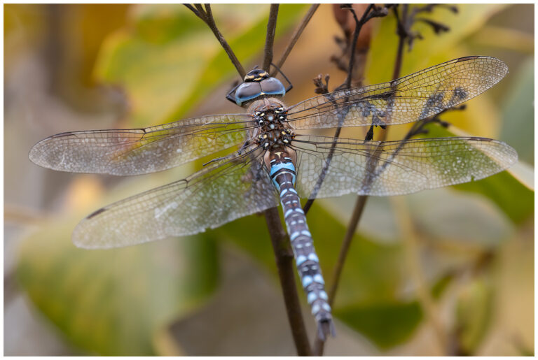 Mycket ute - lite bilder Mycket ute - lite bilder
