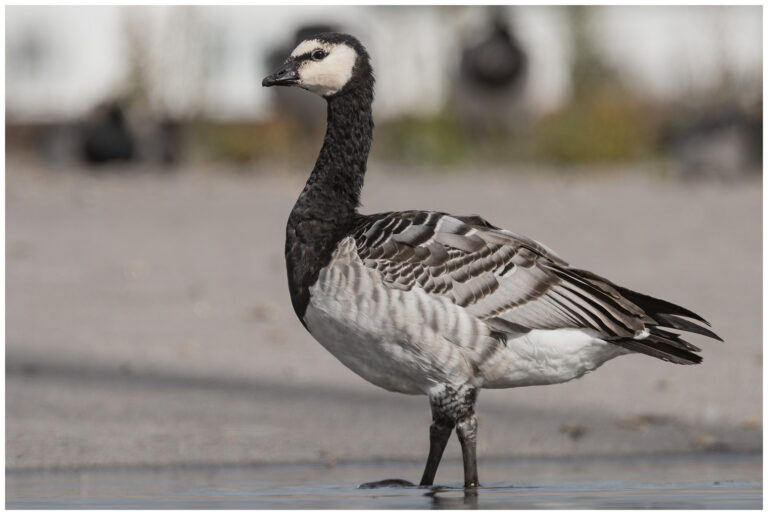 Ute för att testa Ute för att testa
